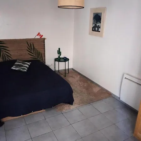 Amaryllis - Agreable Au Coeur De La ! Mae-8144 *